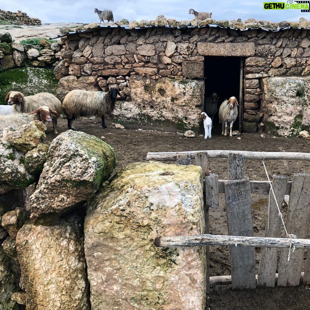 Gökhan Alkan Instagram - 🇹🇷 Themata Anatolika / Güneşin doğduğu taraf I - Kastabala - Hierapolis II - Tarihin sıfır noktası: Göbeklitepe III - Çingene kızı mozaiği IV - Mevlânâ Celâleddîn-i Rûmî V - Caesarea ad Anabarsum VI - Taşköprü VII - Zeugma VIII - Halil-ür Rahman Gölü IX - Harran evleri X - Ağaca çıkan keçinin dala bakan oğlağı olur.