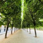 Gökhan Alkan Instagram – 🇫🇷 Paris, France