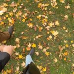 Gabbi Garcia Instagram – autumn leaves 🍁 Toronto Ontario Canada