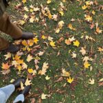 Gabbi Garcia Instagram – autumn leaves 🍁 Toronto Ontario Canada