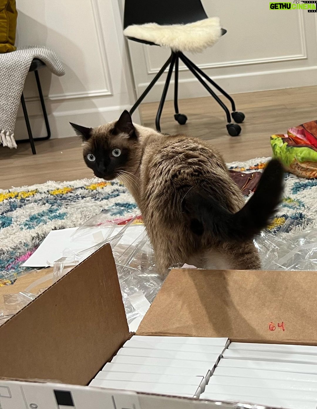 Gabbie Hanna Instagram - Fred & I are signing and packing the last of the Trauma Queen CDs- if you order tonight I’ll be able to get it out with this batch 💋 👑 my next album comes out tomorrow night wow