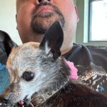 Gabriel Iglesias Instagram - Find what makes u happy and enjoy it.