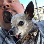 Gabriel Iglesias Instagram - Phoenix, Arizona was incredible! Come be part of the experience. FluffyGuy.com Bring the family 🤗