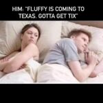 Gabriel Iglesias Instagram - TEXAS, here comes Fluffy! Go to FluffyGuy.com