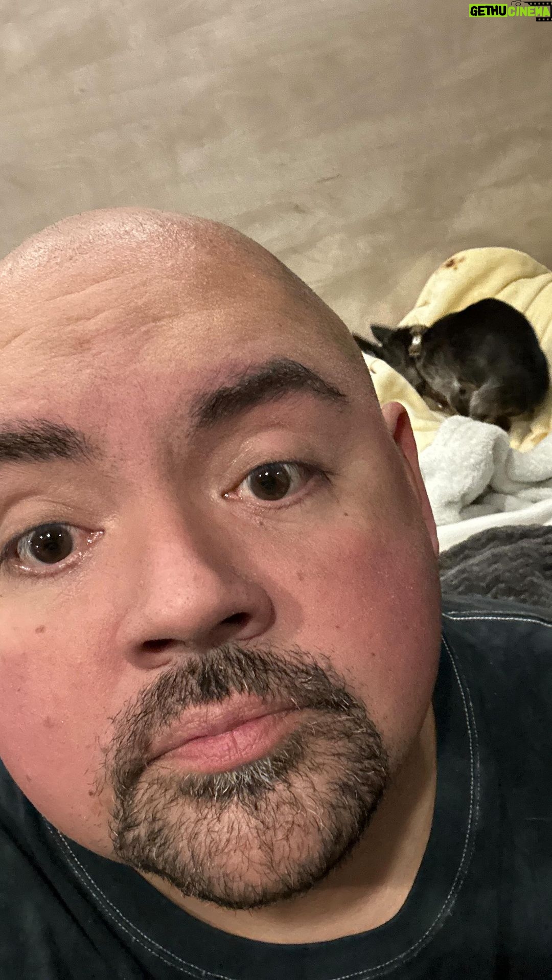 Gabriel Iglesias Instagram - How my weekend is going. Thank u Reno 😊 Next week Stockton, Oakland and San Jose.