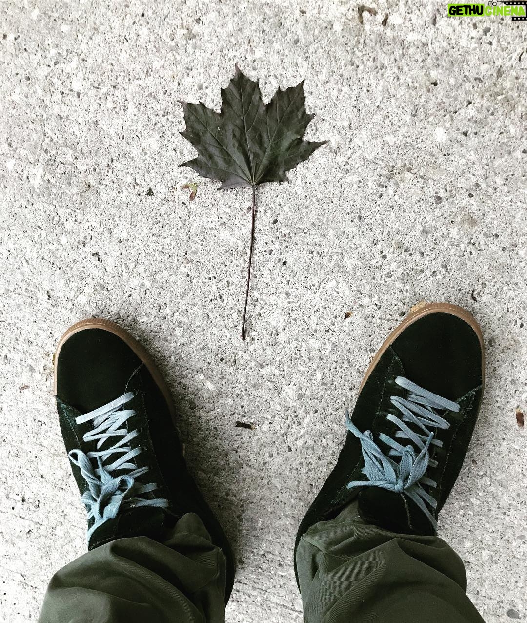 Gabriel Macht Instagram - Yesterday #victoriaday #adaylate running lines and walked into this #mapleleaf thought it was Canada day but I’m a month early. Thanks to the folks educating a jet lagged traveller.