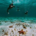 Gabriel Soto Instagram - @theyachtexperiences 🌊😎 @arturo_vill4 #diving #apnea 🙌🏻🙌🏻🙌🏻🙌🏻 #amoelmar🌊 The Yacht Experiences