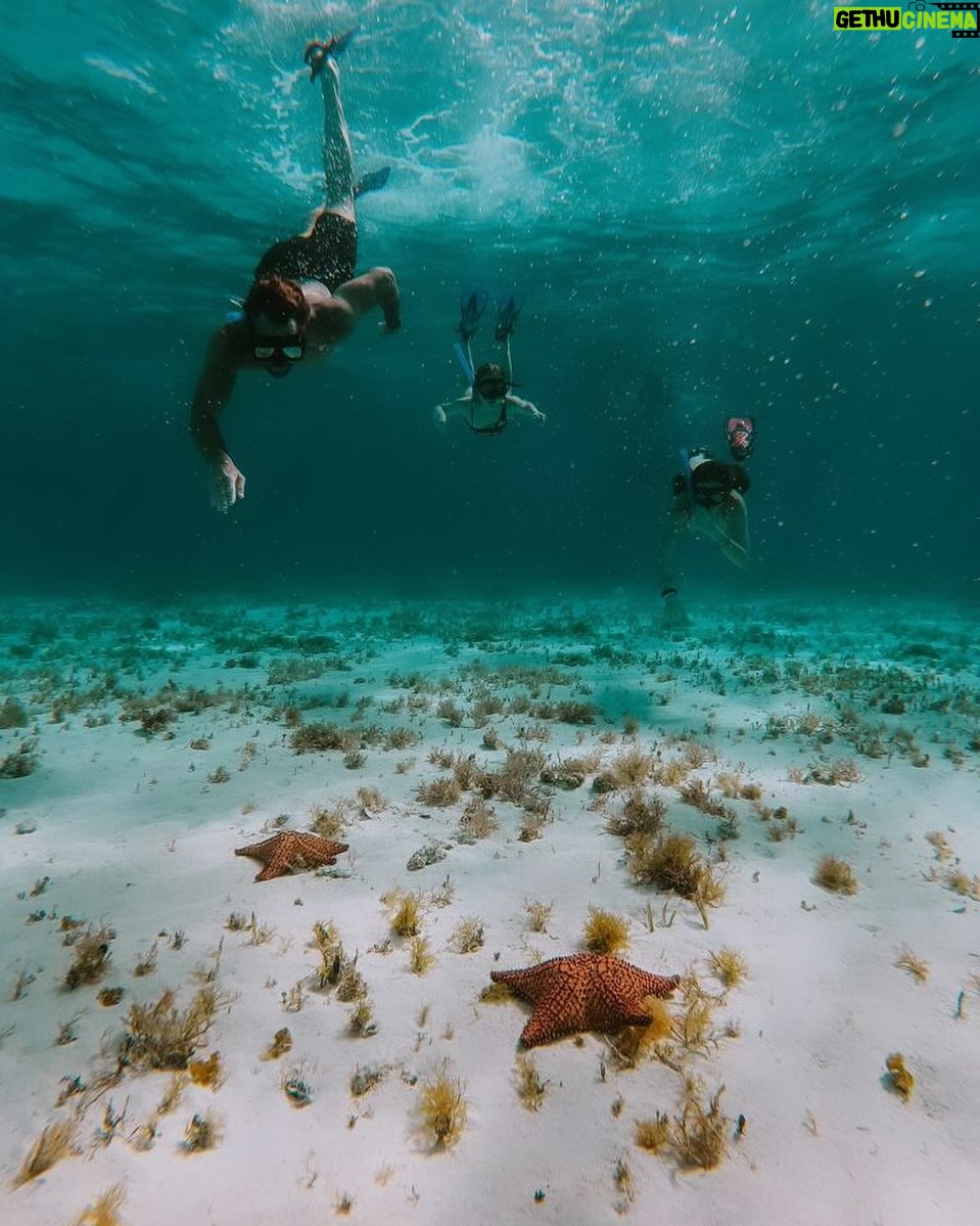 Gabriel Soto Instagram - @theyachtexperiences ππ @arturo_vill4 #diving #apnea ππ»ππ»ππ»ππ» #amoelmarπ The Yacht Experiences