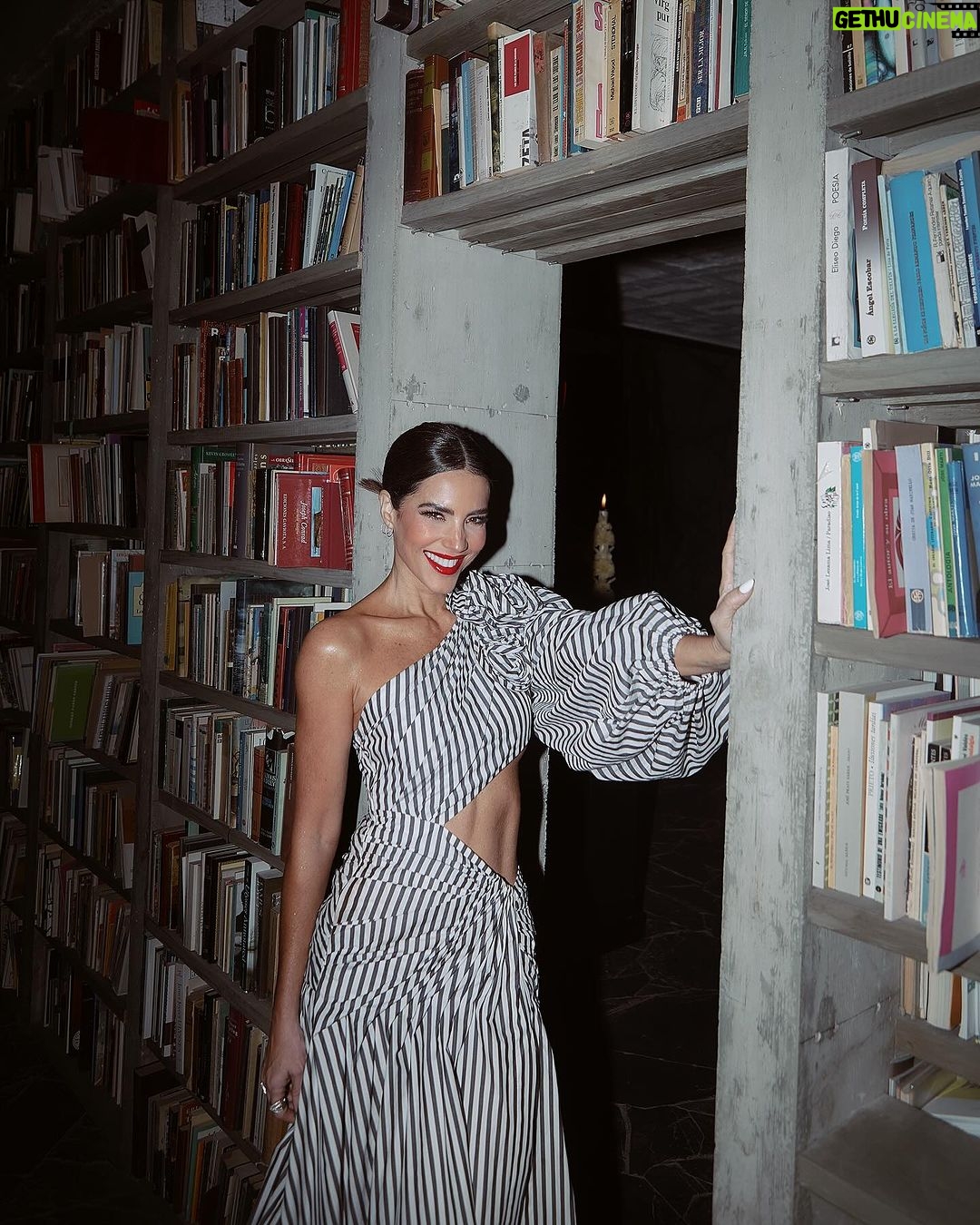 Gaby Espino Instagram - Una noche #HerreraConfidential ❤️ Thanks @carolinaherrera . Noche realmente especial. . . . . .📸 @bryanfls @puntoentmx Mexico City, Mexico