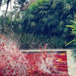 Galilea Montijo Instagram - Solamente vuelve a creer, confiar… y soltar Bali, Indonesia
