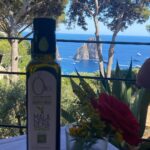 Gamila Awad Instagram –  Capri, Italy