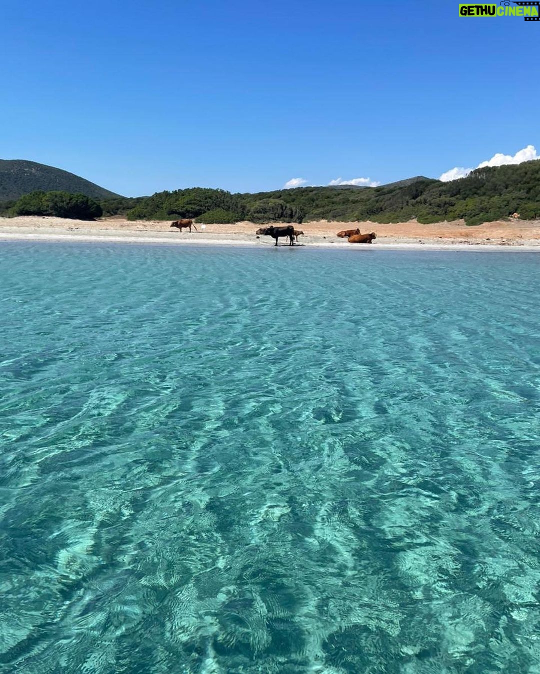 Gamila Awad Instagram - Summer β23π πͺΆπͺπ
Sardegna, Italia