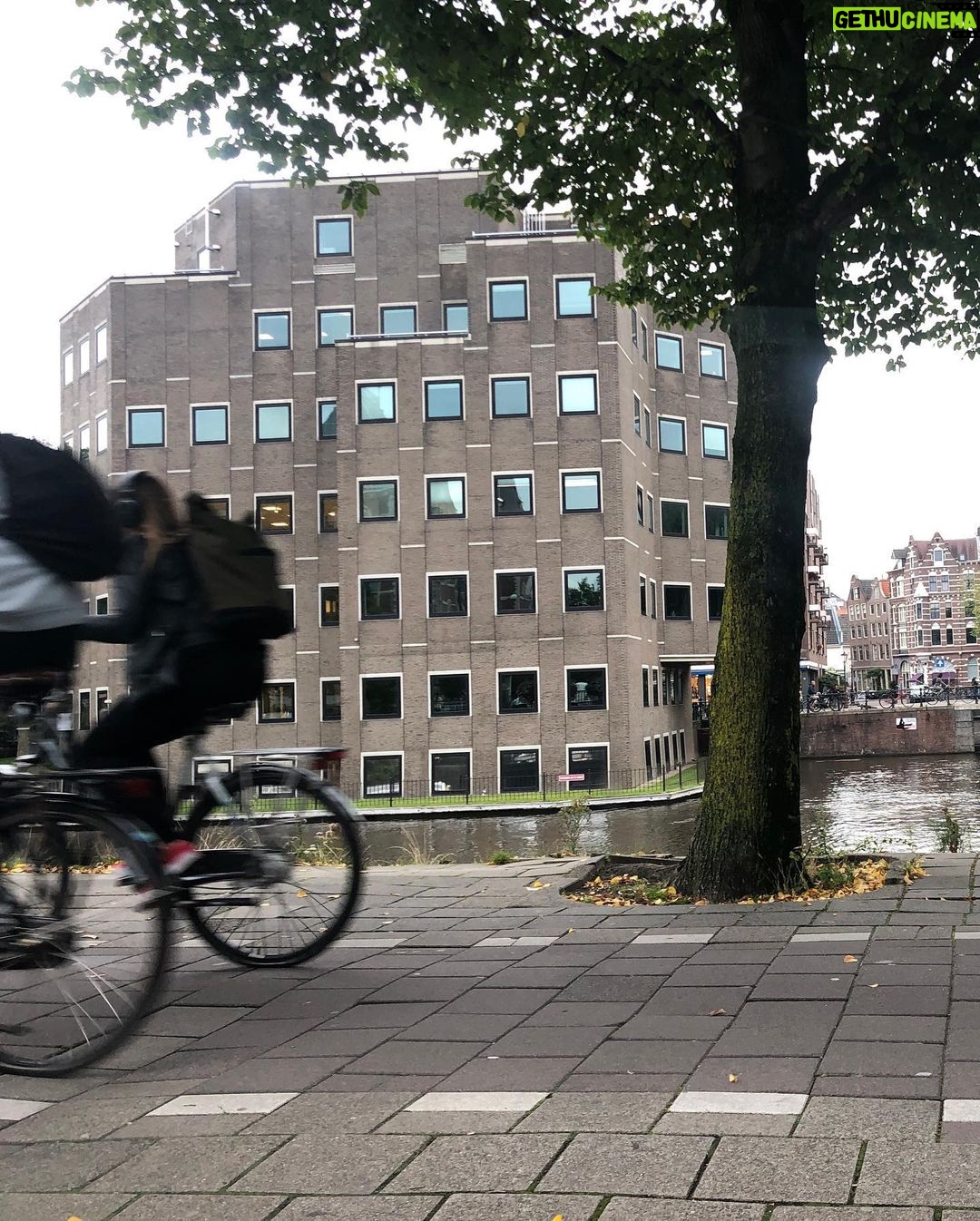 Gamila Awad Instagram - Amsterdam photo dump 2019 Amsterdam, Netherlands