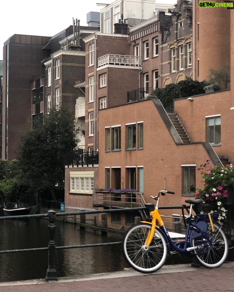 Gamila Awad Instagram - Amsterdam photo dump 2019 Amsterdam, Netherlands