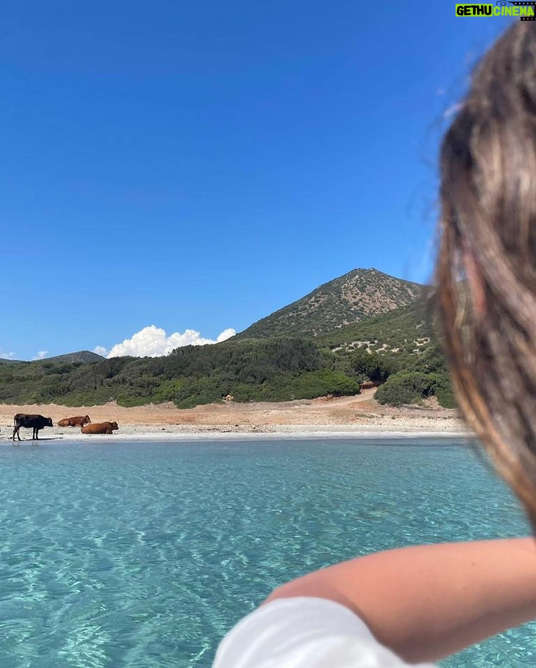 Gamila Awad Instagram - Summer β23π πͺΆπͺπ
Sardegna, Italia