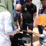 Gamze Özçelik Instagram - Allah karşımıza güzel insanlar çıkarsın. Tüm yaradılmışlara merhametle yaklaşan, attığı her adımda kul hakkına girmemek için özen gösteren insanlar. Kibir ve azametle yürüyen değil, gülümsemesi, samimiyeti ve doğallığı ile günümüzü aydınlatan insanlar olsun hayatımızda. Öyle insanlar olsun ki umudumuz hep diri kalabilsin. Umuda Koşanlar ekip arkadaşlarıma, Diyanet Vakfı Suriye temsilcisi İsmail ve canım eşine, Afad başkanı Sayın Mehmet Güllüoğlu’na , Hatay gümrük valisi Sayın Salih Altun ve bölgede bulunan Hüdai Vakfı görevlilerine, kısaca aslında bu yolda gönülden çabalayan tüm yoldaşlara selam olsun. İyi ki varsınız🌹 @umudakosanlar @mgulluoglu #Suriye #İdlib . 📷: @saidtetik