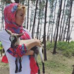 Gamze Özçelik Instagram - Bence Bangladeş sınırı, keçileri kaçırmak için çok uygun bir yermiş 🤔☠️ 🐐 #UmudaKosanlar #Bangladesh #Arakan #Çaresizlik #Sefalet #Goat #Love ❣️ @umudakosanlar (Şu an kamplara yakın bir yerde konaklıyoruz. Sabaha karşı öyle büyük bir sağanak yağmur başladı ki, oralarda gördüğüm binlerce insan, çocuk, bebek açıkta ne yapıyorlar, nasıl dayanıyorlar bilmiyorum. Muşambadan tentelerin altında, ya da açıktalar.. Ve ben kendimi şuan gerçekten çaresiz hissediyorum...) Cox's Bazar, Bangladesh