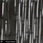 Garik Martirosyan Instagram - Мне всегда кажется, что кто-то придумал португальский язык специально, для прикола, чтобы был такой язык, который звучит волшебно, наивно и смешно, но при этом летит, льется и жужжит по-детски! Мне всегда кажется, что кто-то придумал бразильскую босса нову, чтобы была музыка, которая и грустная, и веселая, и сложная, и великая, и красивая, и простая одновременно! Мне всегда кажется, что Жоаy Жильбертy поёт в ноты, но в какие-то свои, которых нет в мире). 👋🔥 João Gilberto “Doralice” ♥️