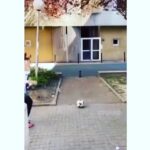 Garik Martirosyan Instagram -