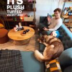 Garrett Clayton Instagram - Loved partnering with @kardiel to stock up our new living room in this chic midcentury style! Thanks for making our new townhouse feel so comfy and classy! 😍 Our favorite piece is the Woodrow Neo Neptune velvet sofa… It’s so dreamyyy! Check their stuff out ASAP! Fantastic style; great quality! #sponsored