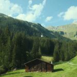 Gavin Casalegno Instagram - I thought Swiss Cows were a myth🧚🏼 Grindelwald, Switzerland