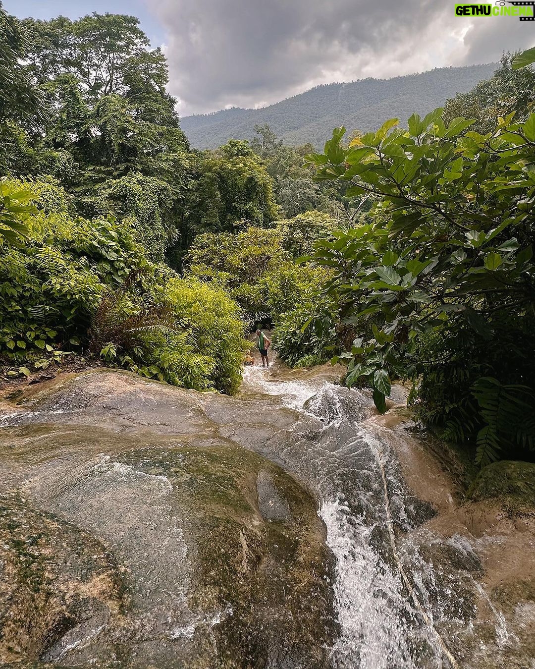 Gavin Casalegno Instagram - Chiang Mai was incredible. Good food, rescued elephants, and waterfalls🤍 Chiang Mai, Thailand