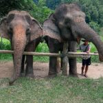 Gavin Casalegno Instagram - Chiang Mai was incredible. Good food, rescued elephants, and waterfalls🤍 Chiang Mai, Thailand