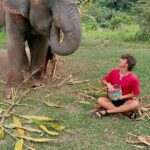 Gavin Casalegno Instagram - Chiang Mai was incredible. Good food, rescued elephants, and waterfalls🤍 Chiang Mai, Thailand