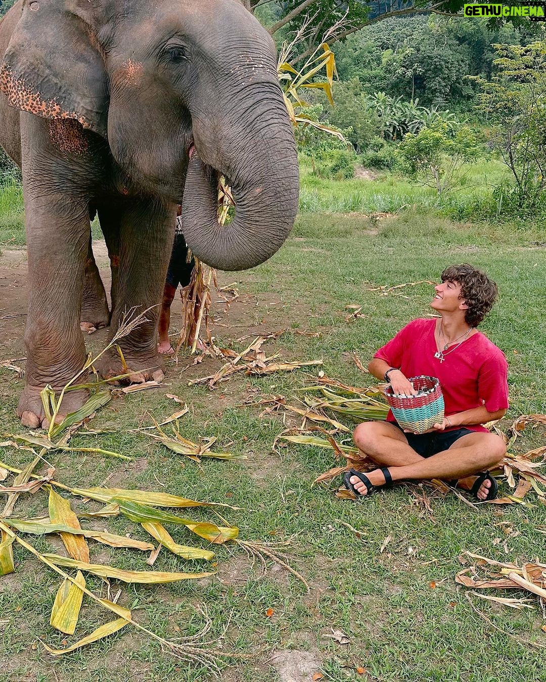 Gavin Casalegno Instagram - Chiang Mai was incredible. Good food, rescued elephants, and waterfalls🤍 Chiang Mai, Thailand