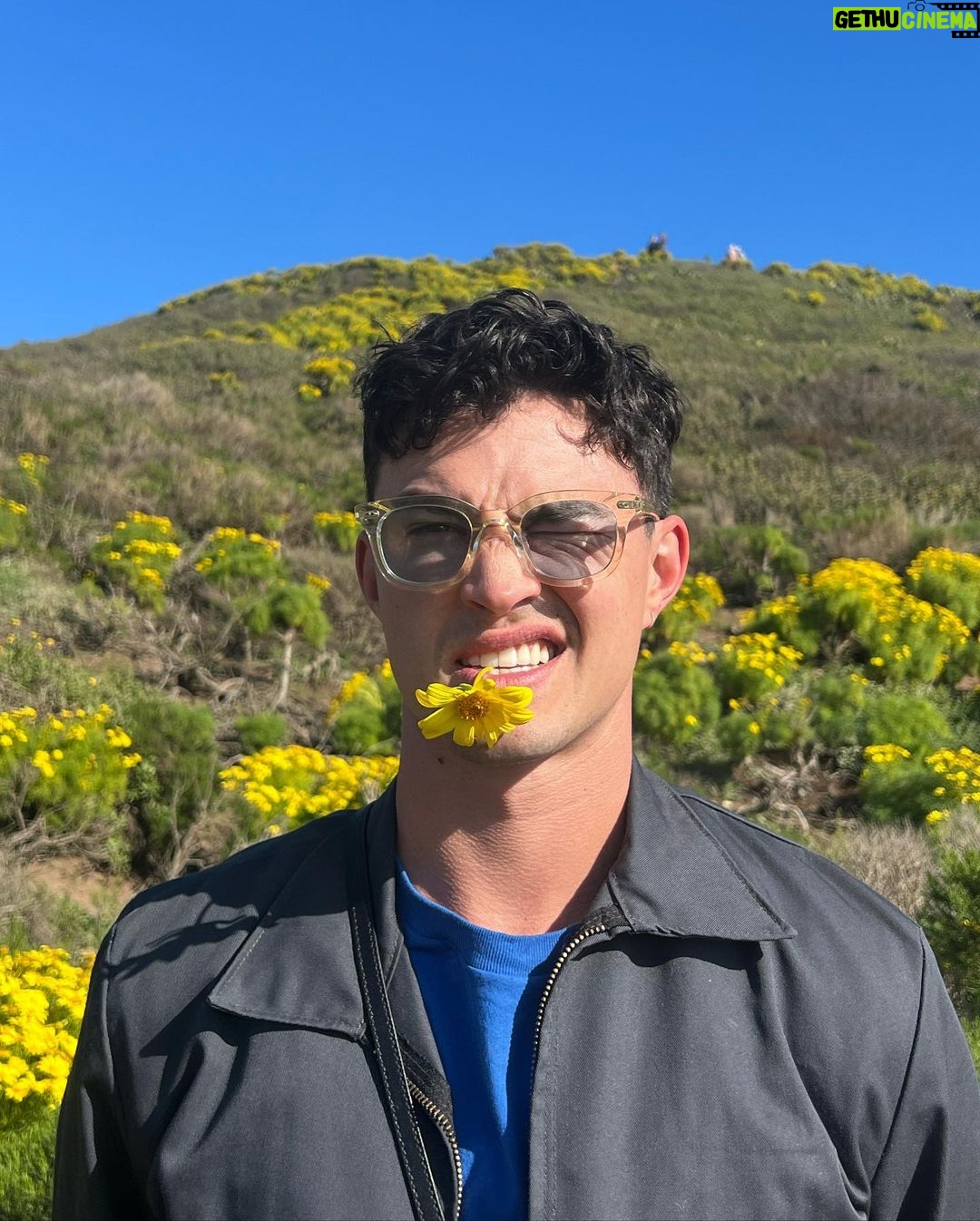 Gavin Leatherwood Instagram - here in the wild 🌆 Los Angeles, California