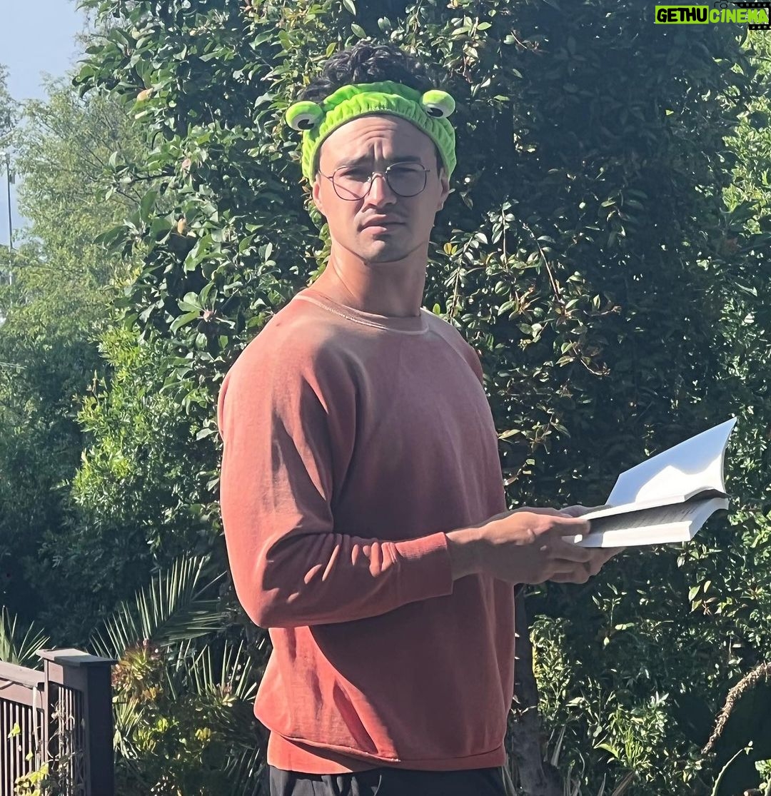 Gavin Leatherwood Instagram - not your average frog