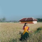 Gayathri Suresh Instagram - “നാട്ടിൻപ്പുറം”✨ PC : @rawpicsphotography Styling : @gayathri_r_suresh Hair Styling & Saree Draping : @lafemmeclinics Vazhalikkavu