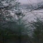 Gelare Abbasi Instagram - انتشار نسخه ویژه نابینایان «سکوت بره‌ها» با صدای بهروز رضوی بهروز رضوی فیلم سینمایی «سکوت بره‌ها» ساخته جاناتان دمی را برای نابینایان توضیح‌دار کرد. به گزارش روابط عمومی سوینا، این گروه نسخه ویژه نابینایان فیلم سینمایی کلاسیک «سکوت بره‌ها» به کارگردانی جاناتان دمی را پنجشنبه دوم تیر ماه منتشر می‌کند. این فیلم روز پنجشنبه ساعت ۱۹ از رادیو سوینا پخش می‌شود و پس از آن، روی سایت سوینا در دسترس مخاطبان قرار می‌گیرد. نظارت متن و ضبط این برنامه به عهده کیوان کثیریان بوده و متن روایت این فیلم را محدثه واعظی‌پور نوشته است. این برنامه در استودیو فراز ضبط شده و مسعود زرگران نیز صدای آن را تدوین و میکس کرده است. علاقمندان می‌توانند با مراجعه به پایگاه اینترنتی سوینا به نشانی www.sevinagroup.com به فایل صوتی فیلم‌های سینمایی توضیح‌دار دسترسی داشته باشند. سوینا را در نشانی‌های اینترنتی زیر پی‌گیری کنید: www.sevinagroup.com www.aparat.com/sevinagroup www.instagram.com/sevinagroup T.me/sevinagroup T.me/radio_sevina https://www.youtube.com/channel/UCs2-CtvQ8W3YZ2M7Xy8DQHQ https://twitter.com/sevinagroup @razavi_behrooz @gelarehabbasi @kkasirian @mo.vaezipour @farazstudio @masood_zargaran ساخت تیزر: افشین ضیائیان @afshinziaian #سوینا #سینمای_نابینایان #گروه_سوینا #sevinagroup #فیلم_صوتی #گلاره_عباسی #سینماکلاسیک #سکوت_بره_ها #جاناتان_دمی    #فیلم_سینمایی #سینما  #فیلم_سینمایی_توضیحدار #بهروزرضوی #بهروز_رضوی