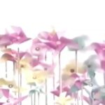Gelare Abbasi Instagram - انتشار نسخه ویژه نابینایان «کلاه قرمزی و پسرخاله» با صدای نازنین بیاتی نازنین بیاتی فیلم سینمایی « کلاه قرمزی و پسرخاله» ساخته ایرج طهماسب را برای نابینایان توضیح‌دار کرد. به گزارش روابط عمومی سوینا، این گروه نسخه ویژه نابینایان فیلم سینمایی « کلاه قرمزی و پسرخاله» ساخته ایرج طهماسب را روز پنجشنبه ۳۰ دی ماه در چارچوب برنامه فیلمخانه منتشر می‌کند. این فیلم روز پنجشنبه ساعت ۱۹ از رادیو سوینا پخش می‌شود و پس از آن، روی سایت سوینا در دسترس مخاطبان قرار می‌گیرد. نظارت متن و ضبط این برنامه به عهده کیوان کثیریان بوده و متن روایت آن را شیدا محمدطاهر نوشته است. این برنامه در استودیو شهر صدای پارسیان ضبط شده و مرجان طبسی آن را میکس و تدوین کرده است. علاقمندان می‌توانند با مراجعه به پایگاه اینترنتی سوینا به نشانی www.sevinagroup.com به فایل صوتی فیلم‌های سینمایی توضیح‌دار دسترسی داشته باشند. این گروه پیشتر نسخه توضیح‌دار فیلم‌های سینمایی ایرانی «روز واقعه» با صدای افشین زی‌نوری، «دلشدگان» با صدای شبنم مقدمی، «مادر» با صدای احترام برومند، «بنفشه آفریقایی» با صدای علیرضا شجاع‌نوری، «باشو غریبه کوچک» با صدای پریناز ایزدیار، «خانه دوست کجاست» با صدای ستاره اسکندری، «یک بوس کوچولو» با صدای علیرضا آرا، «من، ترانه ۱۵ سال دارم» با صدای سارا بهرامی، «هامون» با صدای پرویز پرستویی، «روسری‌ آبی» با صدای رخشان بنی‌اعتماد، «مسافران» با صدای صابر ابر، «اجاره‌نشین‌ها» با صدای هوتن شکیبا، «درباره الی» با صدای فرشته صدرعرفایی، «به همین‌سادگی» با صدای مهراوه شریفی‌نیا، «بودن یا نبودن» با صدای بهناز جعفری، «گل‌های داوودی» با صدای ژرژ پطروسی، «مارمولک» با صدای بهرام افشاری و«لیلا» با صدای بی‌تا فرهی را در قالب برنامه فیلمخانه منتشر کرده است. سوینا را در نشانی‌های اینترنتی زیر پی‌گیری کنید: www.sevinagroup.com www.aparat.com/sevinagroup www.instagram.com/sevinagroup T.me/sevinagroup T.me/radio_sevina https://www.youtube.com/channel/UCs2-CtvQ8W3YZ2M7Xy8DQHQ https://twitter.com/sevinagroup @sevinagroup @bayati__nazanin @gelarehabbasi @kkasirian @persiansoundcity @marjan.tabasi ساخت تیزر: افشین ضیائیان @afshinziaian #سوینا #سینمای_نابینایان #گروه_سوینا #sevinagroup #فیلم_صوتی #گلاره_عباسی #فیلمخانه #کلاه_قرمزی #ایرج_طهماسب#کلاه_قرمزی_و_پسرخاله   #فیلم_سینمایی #سینما  #فیلم_سینمایی_توضیحدار #نازنین_بیاتی
