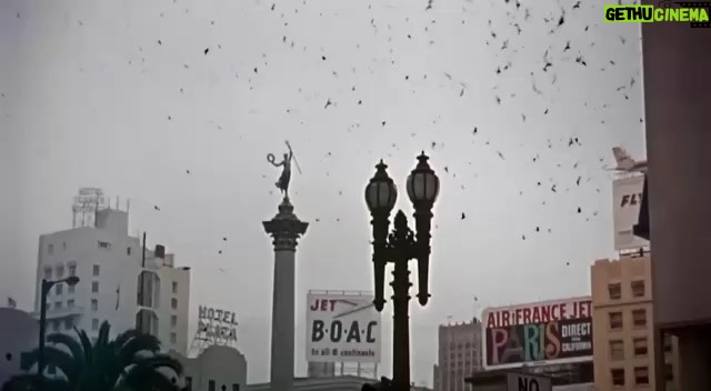 Gelare Abbasi Instagram - انتشار نسخه ویژه نابینایان فیلم سینمایی پرندگان با صدای پانتهآ پناهیها پانتهآ پناهیها فیلم سینمایی «پرندگان» ساخته آلفرد هیچکاک را برای نابینایان توضیحدار کرد. به گزارش روابط عمومی سوینا، این گروه نسخه ویژه نابینایان فیلم سینمایی کلاسیک «پرندگان» ساخته آلفرد هیچکاک را روز پنجشنبه 22 آبان ماه منتشر میکند. این فیلم روز پنجشنبه ساعت ۱۹ از رادیو سوینا پخش میشود و پس از آن، روی سایت سوینا در دسترس مخاطبان قرار میگیرد. نظارت متن و ضبط این برنامه به عهده کیوان کثیریان است، متن روایت این فیلم را محدثه واعظیپور نوشته و در استودیو آکورد ضبط شده است. علاقمندان میتوانند با مراجعه به پایگاه اینترنتی سوینا به نشانی www.sevinagroup.com به فایل صوتی فیلمهای سینمایی توضیحدار دسترسی داشته باشند. سوینا هر ماه، نسخه ویژه نابینایان دو فیلم سینمایی کلاسیک خاطرهانگیز را با همراهی هنرمندان منتشر میکند. این گروه پیشتر نسخه توضیحدار فیلمهای سینمایی کلاسیک «کازابلانکا» با صدای سحر دولتشاهی، «دزد دوچرخه» با صدای محسن بهرامی، «بر باد رفته» با صدای شبنم مقدمی، «روانی» با صدای حبیب رضایی، «در بارانداز» با صدای الهام کردا، «دزیره» با صدای هنگامه قاضیانی، «ربهکا» با صدای ترانه علیدوستی، «دوازده مرد خشمگین» با صدای مهدی پاکدل، «همشهری کین» با صدای پریوش نظریه، «محمد رسول الله (ص)» با صدای امین تارخ و «اشکها و لبخندها» با صدای مهتاب کرامتی را منتشر کرده است. سوینا را در نشانیهای اینترنتی زیر پیگیری کنید: www.sevinagroup.com www.aparat.com/sevinagroup www.instagram.com/sevinagroup T.me/sevinagroup T.me/radio_sevina https://www.youtube.com/channel/UCs2-CtvQ8W3YZ2M7Xy8DQHQ https://twitter.com/sevinagroup @sevinagroup @panipana @gelarehabbasi @kkasirian @studio_accorde ساخت تیزر: استودیو سورنا #سوینا #سینمای_نابینایان #گروه_سوینا #sevinagroup #فیلم_صوتی #گلاره_عباسی #سینما_کلاسیک #پرندگان #پانته_آ_پناهی_ها #فیلم_سینمایی #سینما #فیلم_سینمایی_توضیحدار