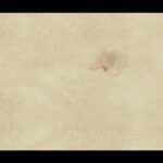 Gelare Abbasi Instagram - * روایت و نقد نفرین در نهمین قسمت پادکست «سینما، خاطره» پادکست «سینما، خاطره» این هفته با بررسی فیلم‌سینمایی «نفرین» از رادیو سوینا پخش می‌شود. به گزارش روابط عمومی سوینا، این گروه روز پنجشنبه پانزدهم آبان ماه، نهمین قسمت از پادکست «سینما، خاطره» را با روایت و تحلیل فیلم سینمایی «نفرین» منتشر می‌کند. سردبیری این مجموعه پادکست به عهده کیوان کثیریان است. احسان کرمی مجری و بازیگر، داستان «نفرین» را روایت کرده و علی علائی منتقد سینما به تحلیل این فیلم و حواشی آن پرداخته‌است. پادکست «سینما، خاطره» با مشارکت ماهنامه حقوقی دادگر و زیر نظر گلاره عباسی موسس و مدیر گروه سوینا تولید می‌شود. متن روایت‌ها را ندا کوهی نوشته و تدوین پادکست به عهده بابک بهرام‌بیگی و مرجان طبسی است. قسمت نهم این پادکست روز پنجشنبه ساعت ۱۹ از رادیو سوینا پخش می‌شود و پس از آن، در پایگاه اینترنتی سوینا در دسترس مخاطبان قرار می‌گیرد. مخاطبان می‌توانند با مراجعه به پایگاه اینترنتی سوینا به نشانی www.sevinagroup.com به برنامه‌های رادیو سوینا دسترسی داشته باشند. «سینما، خاطره» پنجشنبه‌ها به صورت یک هفته در میان از رادیو سوینا منتشر می‌شود. علاقمندان می‌توانند گروه سوینا را در نشانی‌های اینترنتی زیر پی‌گیری کنند: www.sevinagroup.com T.me/sevinagroup T.me/radio_sevina www.instagram.com/sevinagroup www.aparat.com/sevinagroup https://www.youtube.com/channel/UCs2-CtvQ8W3YZ2M7Xy8DQHQ https://twitter.com/sevinagroup @gelarehabbasi @kkasirian @ali.alaei68 @ehsaankaramy @dadgarmag @neda_kouhi @babakbahrambeygi @marjan.tabasi ساخت تیزر: عرفان نظیفی #سوینا #سینمای_نابینایان #گلاره_عباسی #پادکست #رادیو #رادیو_سوینا #سریال #سریال_صوتی #سریال_توضیح_دار #پرده_خوانی #گروه_سوینا #سینما_خاطره #احسان_کرمی #کیوان_کثیریان #علی_علایی #نفرین #ناصرتقوایی #ناصر_تقوایی
