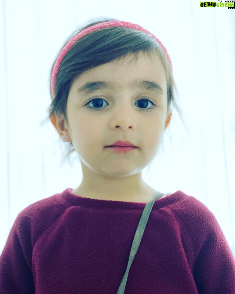 Gelare Abbasi - 29.4K Likes - خواهر زاده من جانا ❤️
🌺💐💕