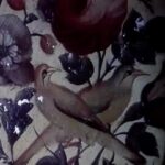 Gelare Abbasi Instagram - * گرامی‌داشت یاد استاد محمدرضا شجریان؛ انتشار نسخه ویژه نابینایان فیلم سینمایی دلشدگان با صدای شبنم مقدمی در پی درگذشت استاد محمدرضا شجریان، سوینا نسخه ویژه نابینایان فیلم سینمایی «دلشدگان» ساخته علی حاتمی را با صدای شبنم مقدمی منتشر می‌کند. به گزارش روابط عمومی سوینا، این گروه در پی درگذشت خسروی آواز ایران، استاد محمدرضا شجریان، نسخه ویژه نابینایان فیلم سینمایی «دلشدگان» ساخته علی حاتمی را روز جمعه هجدهم مهر ماه منتشر می‌کند. این فیلم روز جمعه ساعت ۱۹ از رادیو سوینا پخش خواهد شد و پس از آن، روی سایت سوینا در دسترس مخاطبان قرار خواهد گرفت. شبنم مقدمی بازیگر سینما، تئاتر و تلویزیون «دلشدگان» را توضیح‌دار کرده است. علاقمندان می‌توانند با مراجعه به پایگاه اینترنتی سوینا به نشانی www.sevinagroup.com به فایل صوتی فیلم‌های سینمایی توضیح‌دار دسترسی داشته باشند. @sevinageoup @shabnammoghaddami @gelarehabbasi @kkasirian @farazstudio ساخت تیزر: افشین ضیاییان #سوینا #سینمای_نابینایان #گروه_سوینا #sevinagroup #فیلم_صوتی #پرده_خوانی_فیلم #فیلم_توضیح_دار #گلاره_عباسی #پادکست #فیلم_سینمایی #سینما #دلشدگان #محمدرضاشجریان #شجریان #محمدرضا_شجریان #خسروی_آواز_ایران #شبنم_مقدمی