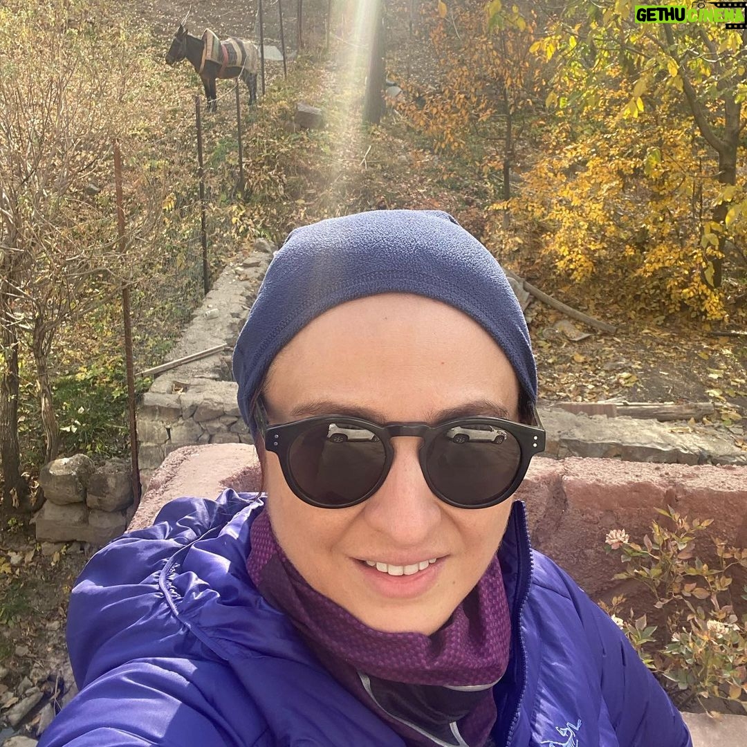 Gelare Abbasi - 31.6K Likes - لحظه ای که به قله می رسی 💪💪
نه کسی هست و نه احتیاج به فاصله گذاری اجتماعی . خودت و طبیعت و لذت کوهنوردی ❤️
خوشحالم که می تونم حال خوبم را با شما رفقای نازنینم تقسیم کنم . مرسی که همراه من هستید 👌✌️