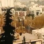 Gelare Abbasi Instagram - نسخه ویژه نابینایان «مهمان مامان» با صدای فریبا کامران منتشر می‌شود فریبا کامران فیلم سینمایی «مهمان مامان» ساخته داریوش مهرجویی را برای نابینایان توضیح‌دار کرد. به گزارش روابط عمومی سوینا، این گروه نسخه ویژه نابینایان فیلم سینمایی «مهمان مامان» ساخته داریوش مهرجویی را روز پنجشنبه 24 شهریور ماه در چارچوب برنامه فیلمخانه منتشر می‌کند. این فیلم روز پنجشنبه ساعت ۱۹ از رادیو سوینا پخش می‌شود و پس از آن، روی سایت سوینا در دسترس مخاطبان قرار می‌گیرد. نظارت متن و ضبط این برنامه به عهده کیوان کثیریان بوده و متن روایت آن را محدثه واعظی‌پور نوشته است. این برنامه در استودیو شهر صدای پارسیان ضبط شده و مسعود زرگران آن را میکس و تدوین کرده است. علاقمندان می‌توانند با مراجعه به پایگاه اینترنتی سوینا به نشانی www.sevinagroup.com به فایل صوتی فیلم‌های سینمایی توضیح‌دار دسترسی داشته باشند. سوینا را در نشانی‌های اینترنتی زیر پی‌گیری کنید: www.sevinagroup.com www.aparat.com/sevinagroup www.instagram.com/sevinagroup T.me/sevinagroup T.me/radio_sevina www.youtube.com/channel/UCs2-CtvQ8W3YZ2M7Xy8DQHQ twitter.com/sevinagroup @faribakamran @gelarehabbasi @kkasirian @persiansoundcity @mo.vaezipour @masood_zargaran @sevinagroup ساخت تیزر: افشین ضیائیان @afshinziaian #سوینا #سینمای_نابینایان #گروه_سوینا #sevinagroup #فیلم_صوتی #گلاره_عباسی #فیلمخانه #مهمان_مامان #فریبا_کامران #فریباکامران #فیلم_مهمان_مامان   #فیلم_سینمایی #سینما  #فیلم_سینمایی_توضیحدار #داریوش_مهرجویی