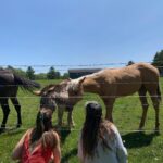 Genevieve Hannelius Instagram - endless summer vacation Livingston Manor, New York