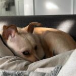 Genevieve Hannelius Instagram - love letter to the valley💌