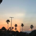 Genevieve Hannelius Instagram - 💌postcard from FL with luv 📬