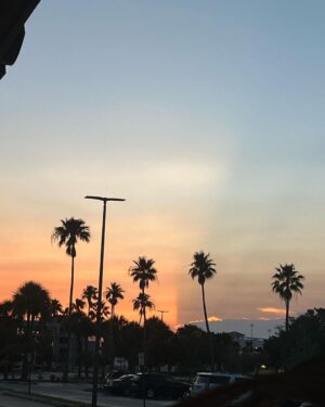 Genevieve Hannelius Instagram - 💌postcard from FL with luv 📬