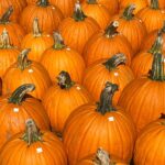 Genevieve Hannelius Instagram - 🍎😙⭐️🎃🍂