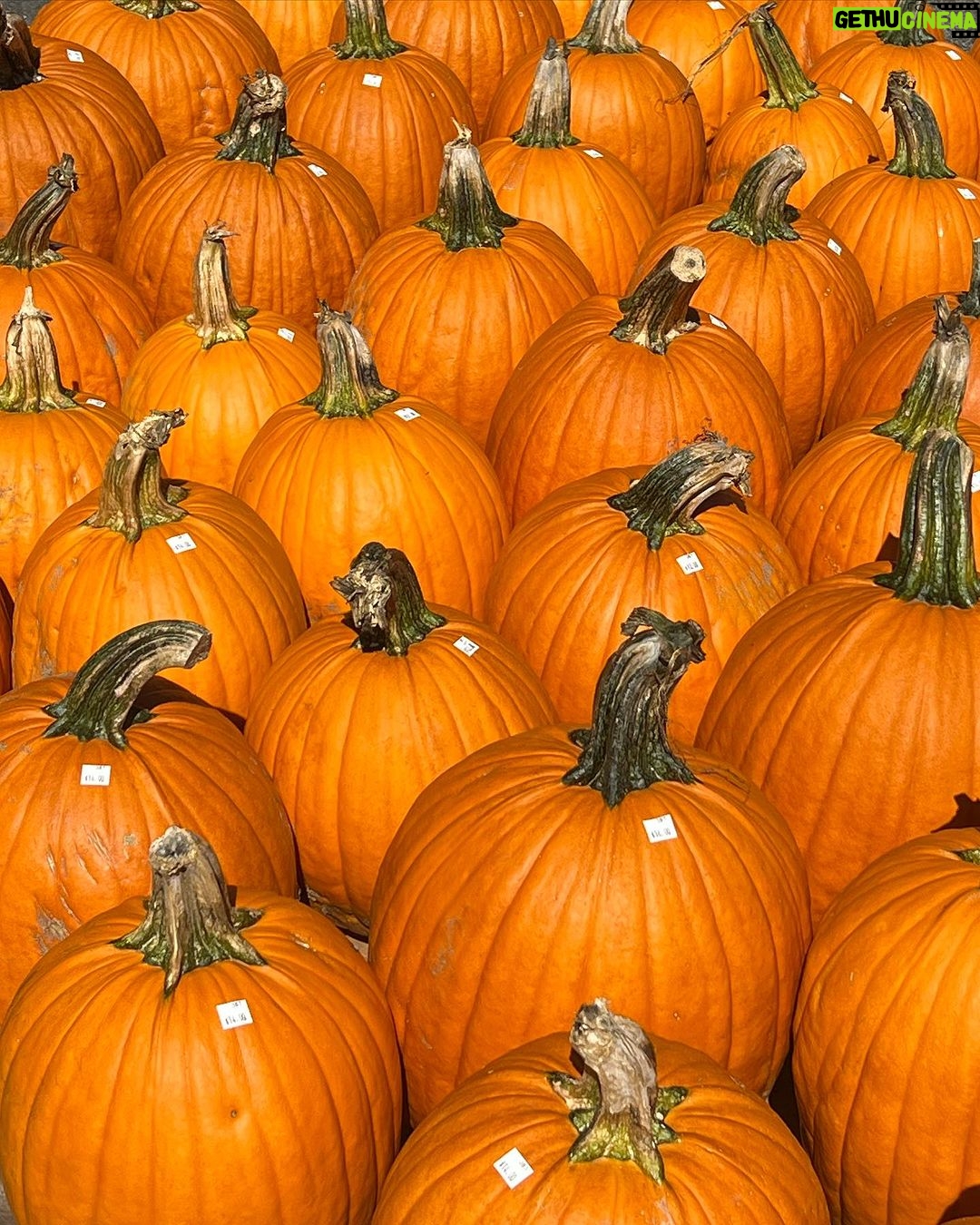 Genevieve Hannelius Instagram - 🍎😙⭐️🎃🍂