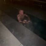 Georges St-Pierre Instagram - This is how I prepare and I do my favorite ritual that helps me sleep. 🔥❄️😴💪