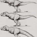 Georges St-Pierre Instagram - It’s crazy how much the perception of what the famous Tyrannosaurus Rex might look like has changed over the years.