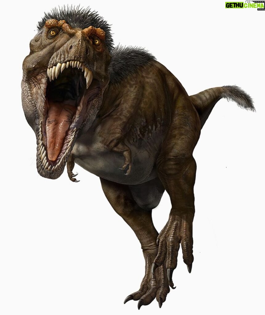 Georges St-Pierre Instagram - It’s crazy how much the perception of what the famous Tyrannosaurus Rex might look like has changed over the years.