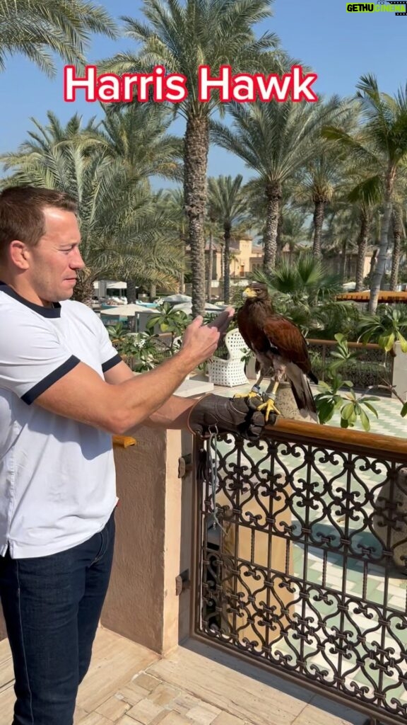 Georges St-Pierre Instagram - This is what the dinosaurs left us! Dubai - دبى
